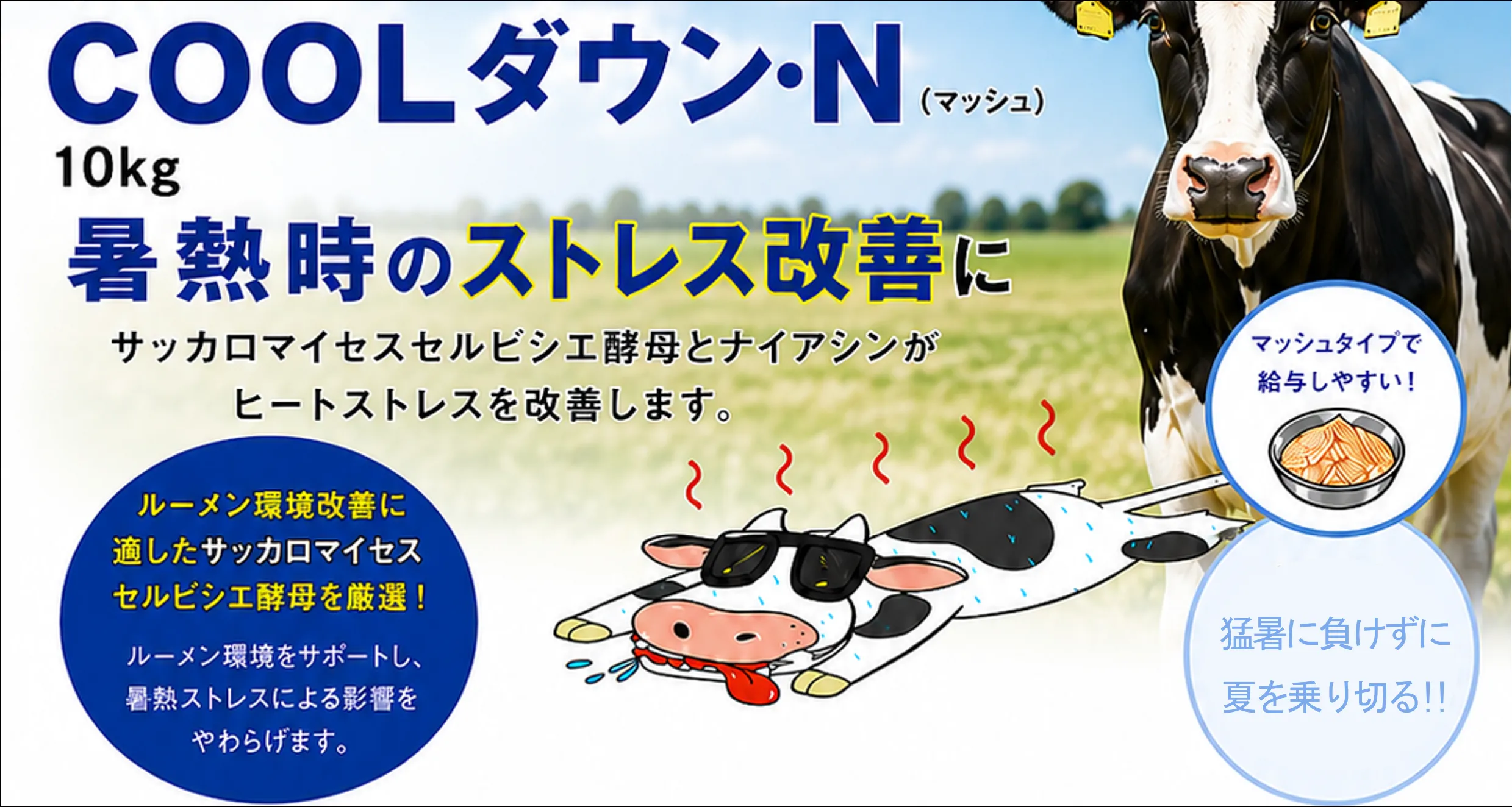 クールダウンN